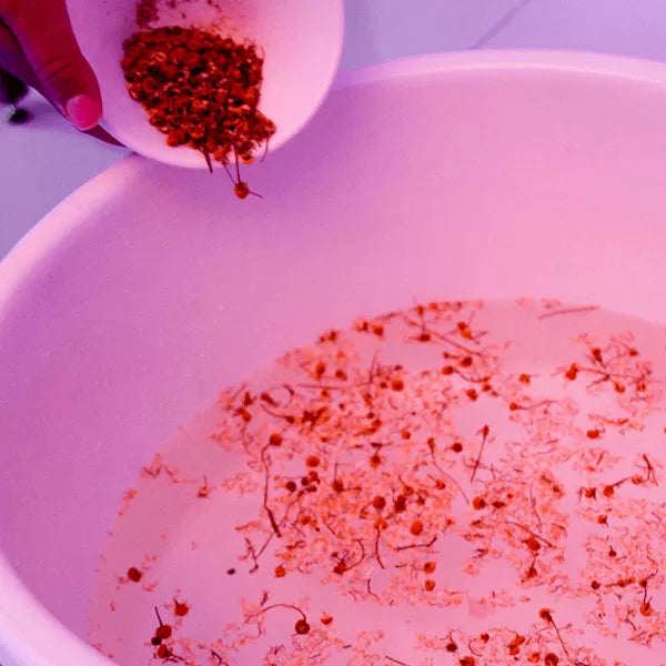 Como parte da experiência spa dos pés a foto mostra uma bacia branca com água e, flutuando nela, pequenas flores vermelhas. Suspensa acima da bacia, uma mão segura um recipiente branco inclinado para dentro da bacia e dele saem mais pequenas flores vermelhas